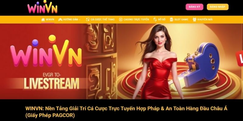 Giới Thiệu WINVN Hành Trình Khẳng Định Vị Thế